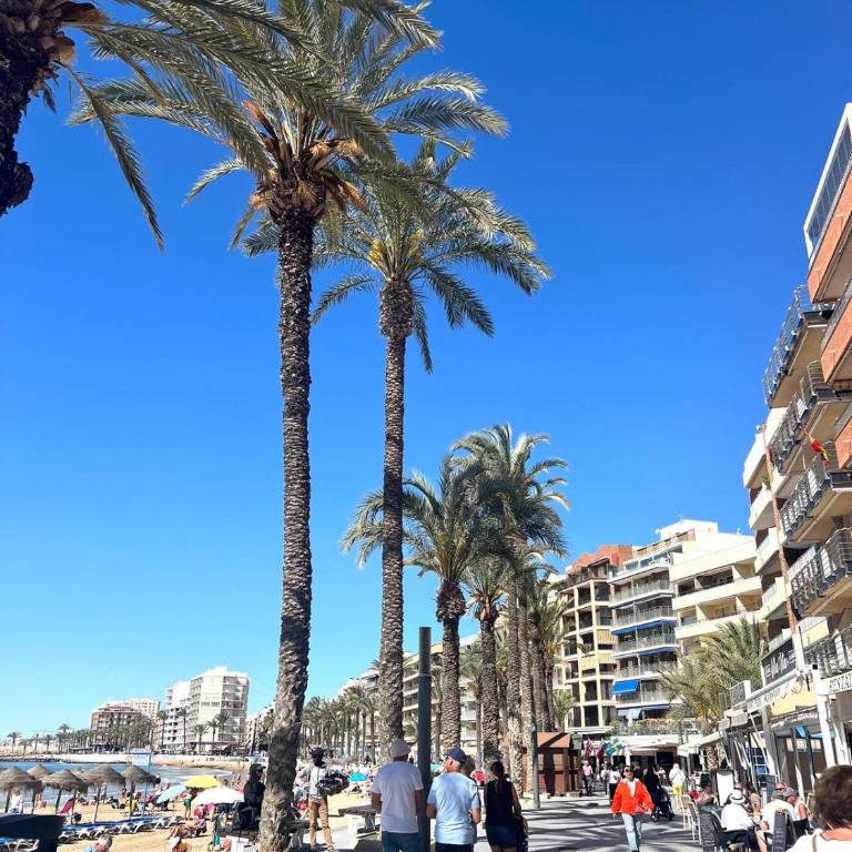 Big one bedroom apartment next to beach. - Apartamento de 1 dormitorio - 3