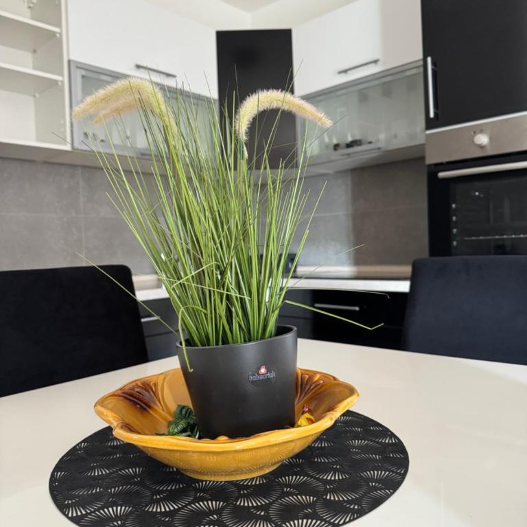 Apartman DIJANA - Apartman sa 1 Spavaćom Sobom - 21