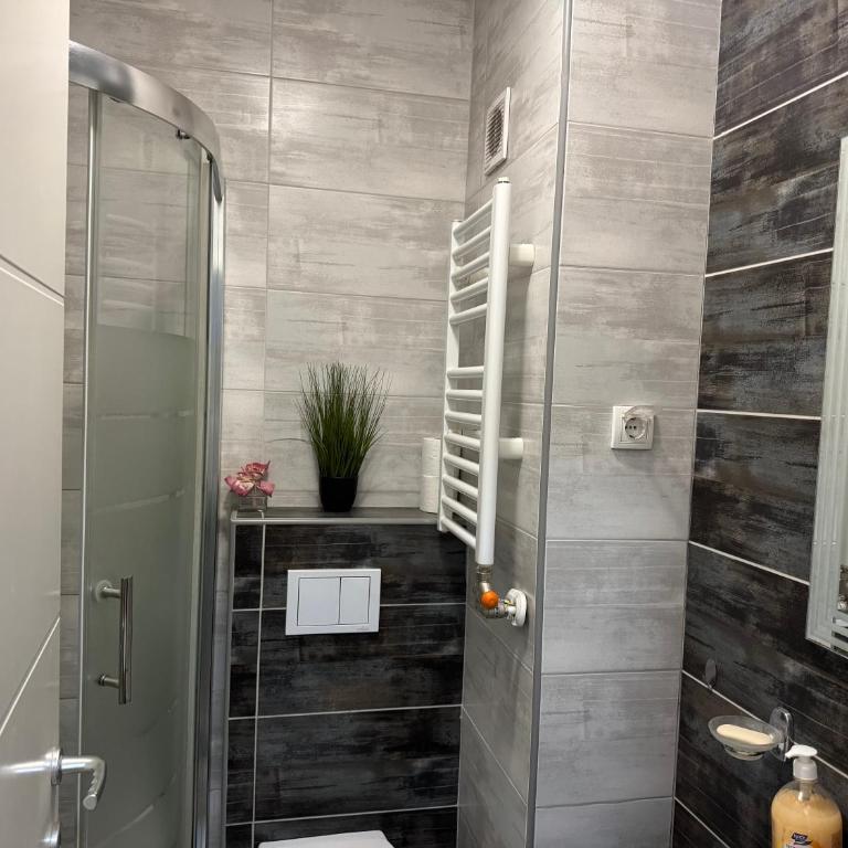 Apartman DIJANA - Apartman sa 1 Spavaćom Sobom - 23
