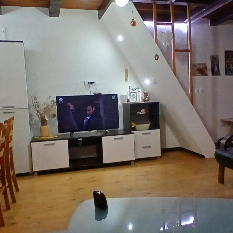 Vikendica Savic TKM - Two-Bedroom House - 1