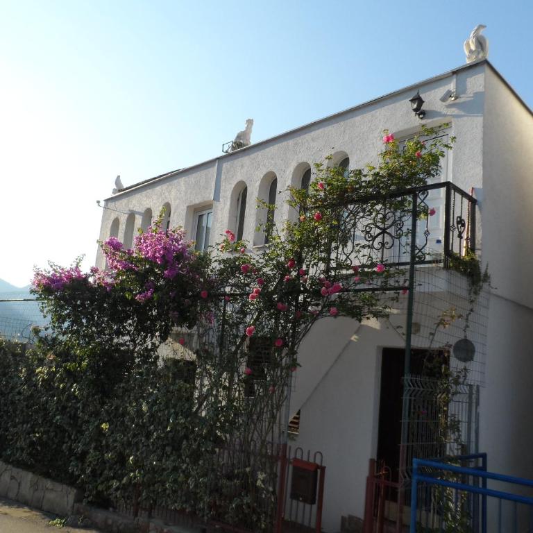 Zagradge I.N. apartments - Apartman na Više Nivoa - 1