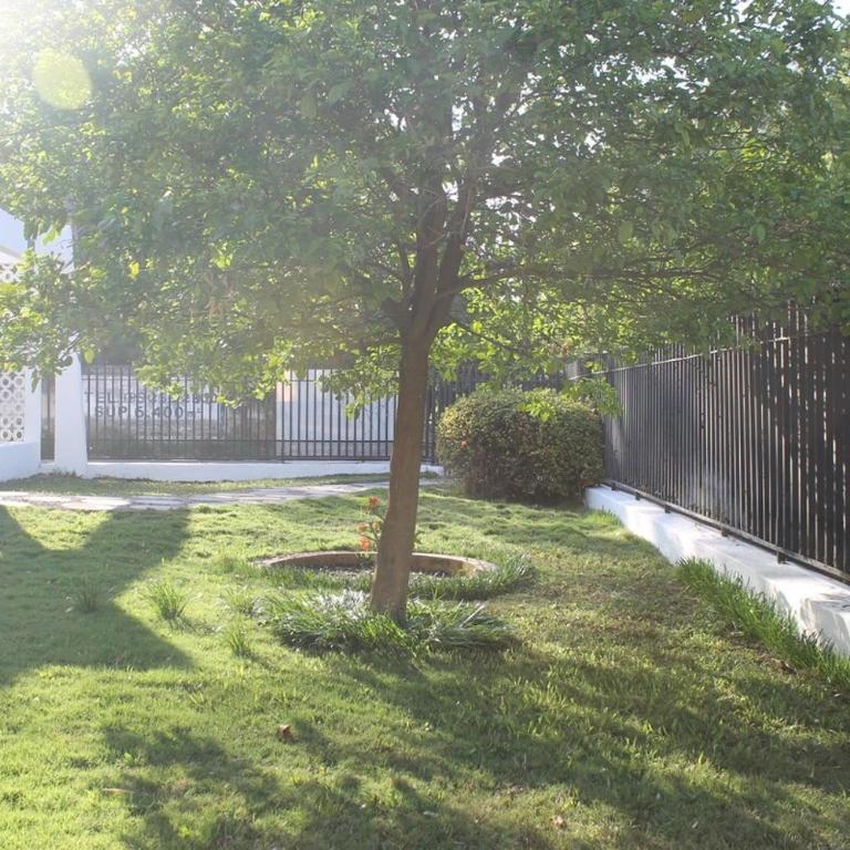 Itzimna - Three-Bedroom Villa - 8