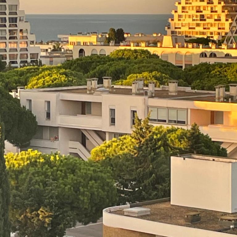 Vue panoramique pour ce grand studio en centre ville - Deluxe Studio - 53