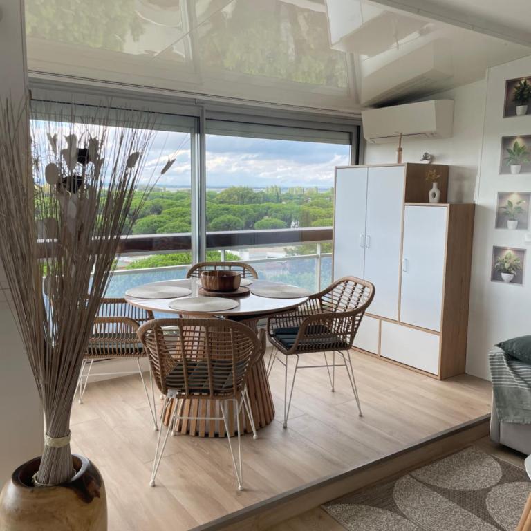 Vue panoramique pour ce grand studio en centre ville - Deluxe Studio - 60