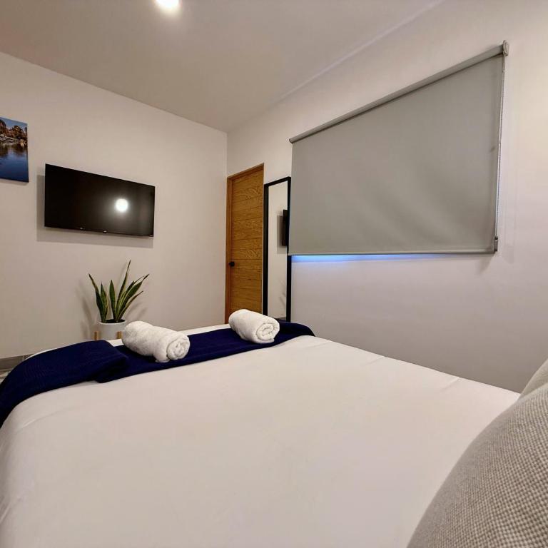 Suites Heriberto Frías - Double Room with Private Bathroom - 4