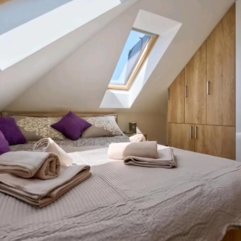 3M apartman Zlatibor - Apartman sa 1 Spavaćom Sobom - 9