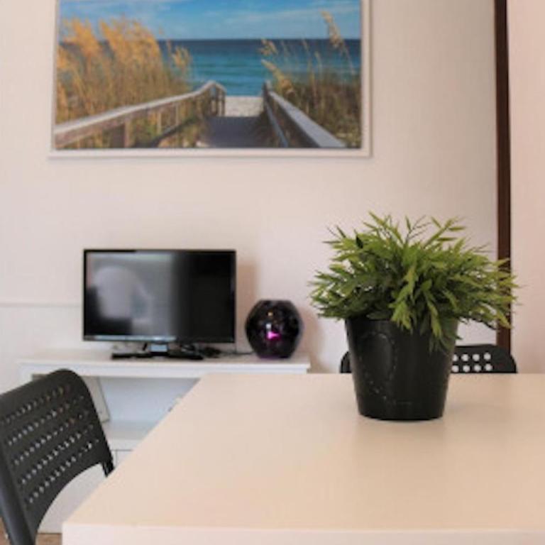 Modern flat on the shores of Bibione - Apartment - 14