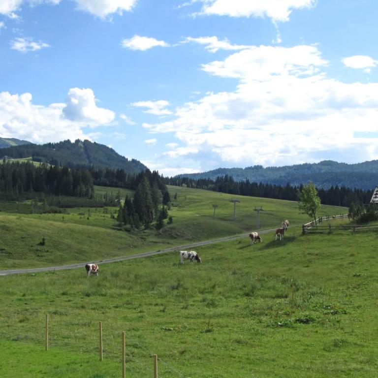 Winklmoos SonnenAlm - Suite mit Balkon - 5