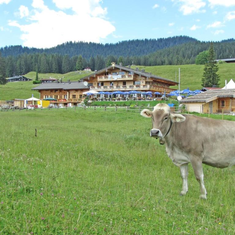 Winklmoos SonnenAlm - Suite mit Balkon - 7