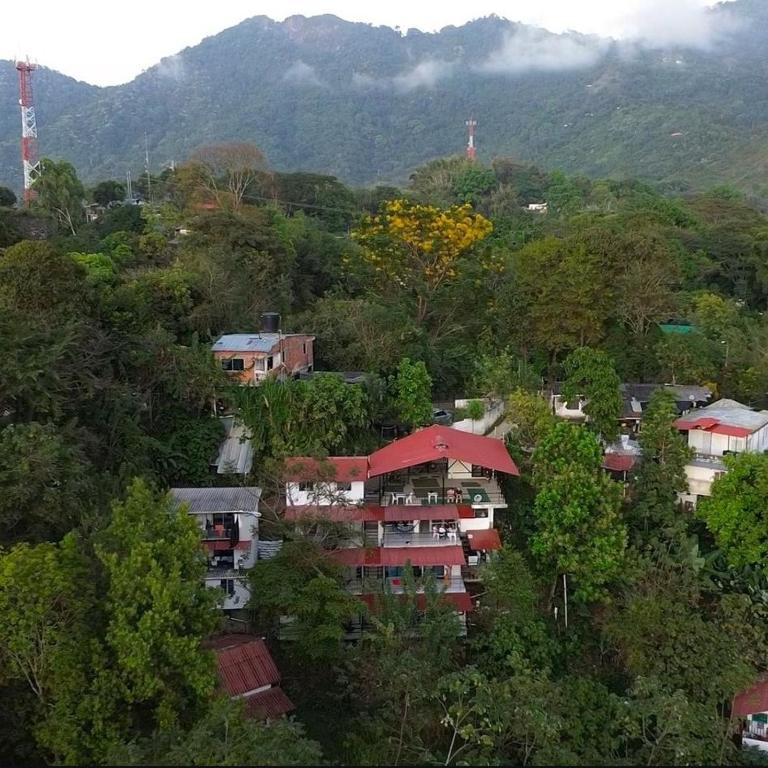 Minca Seasons Birds - Habitación Doble - 1