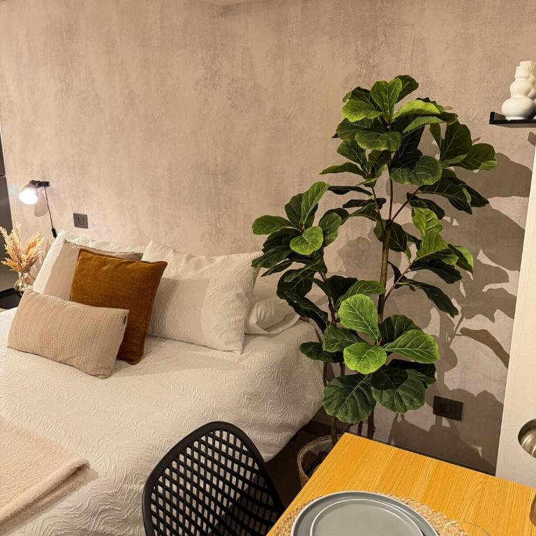 Hermoso Apartamento a pasos de Santa Lucía - Apartamento de 1 dormitorio - 14