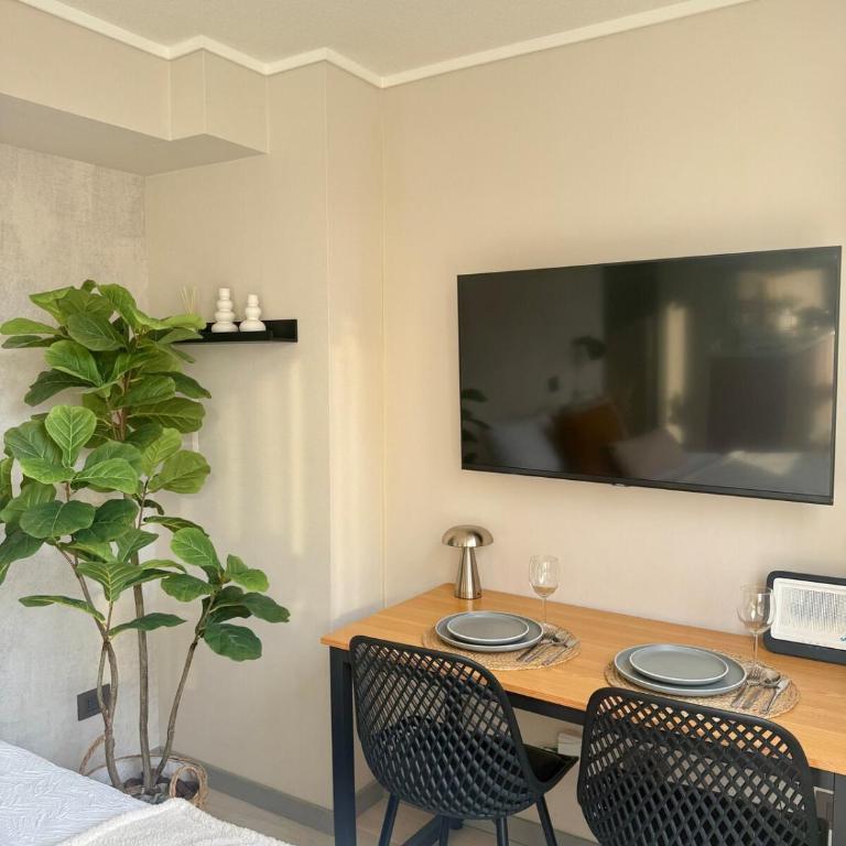 Hermoso Apartamento a pasos de Santa Lucía - Apartamento de 1 dormitorio - 18