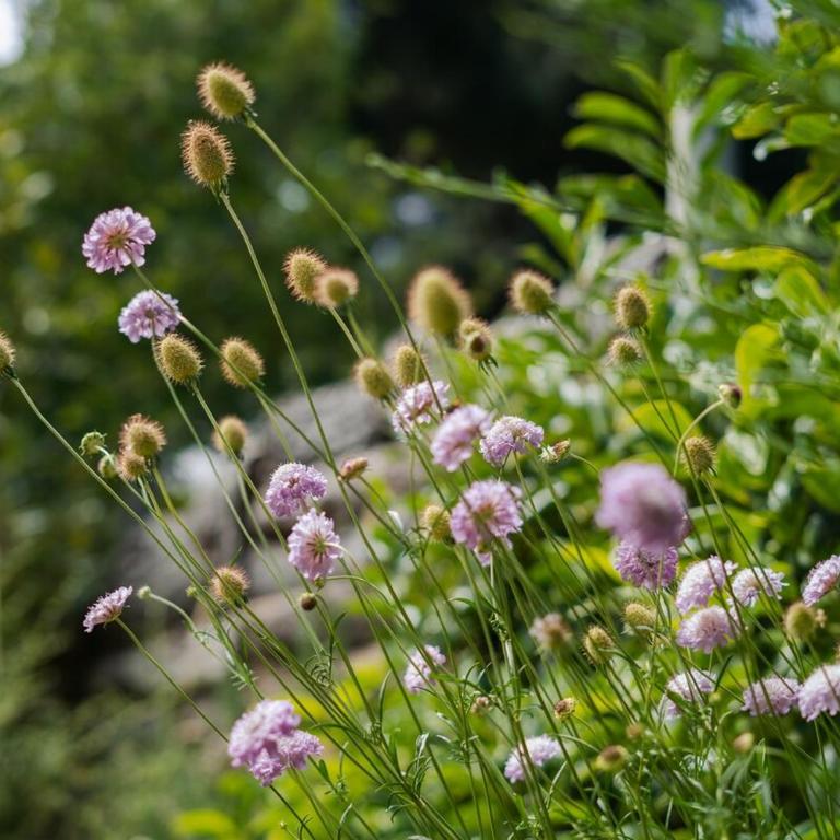 Moderna y cálida casa a metros del lago y la playa - Casa de 3 dormitorios - 42