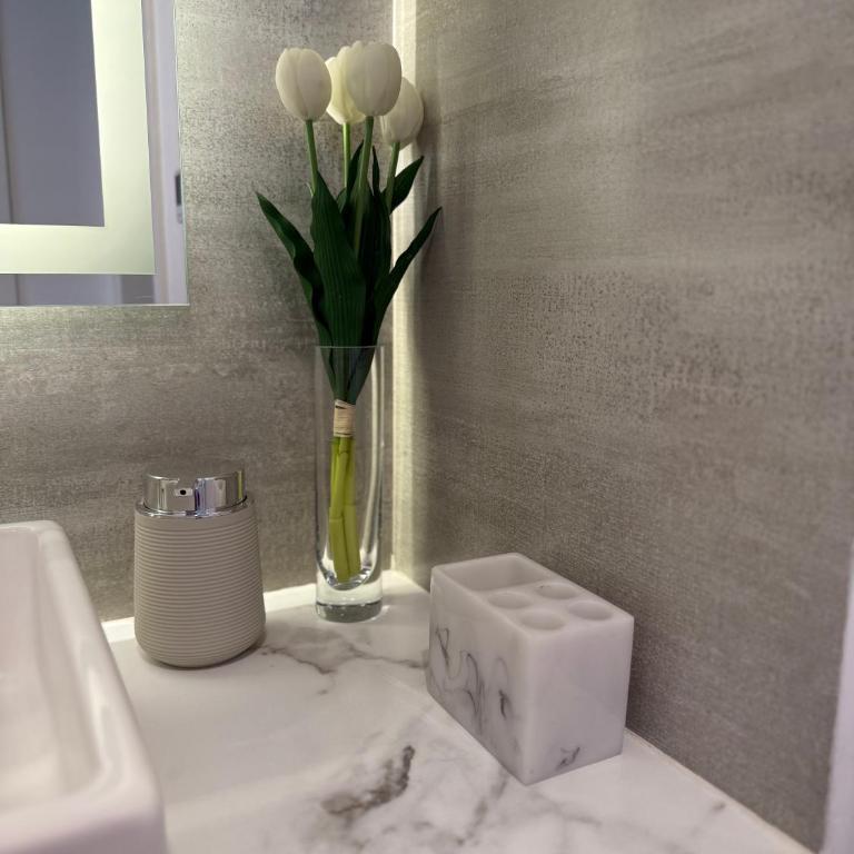 Apart Nuevo Constitucion 2 B Frente al Mar - One-Bedroom Apartment - 36