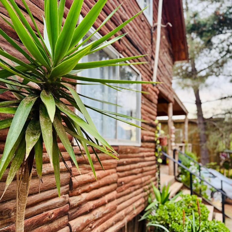 Cabaña del Bosque de Laguna Verde - Vacation Home - 8