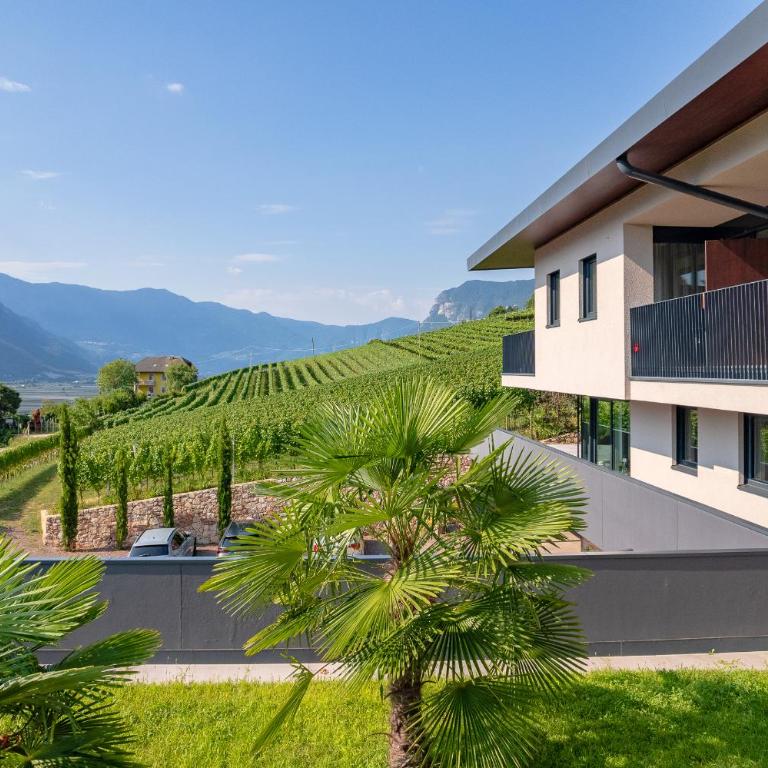 Tholr - Ferienwohnungen - Tramin - Apartment mit Gartenblick - 10