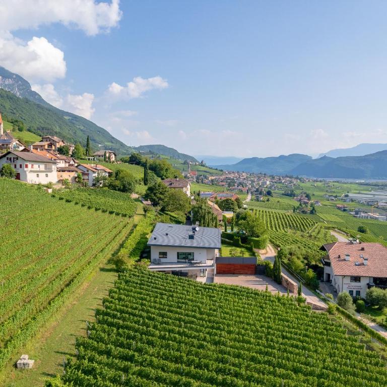 Tholr - Ferienwohnungen - Tramin - Apartment mit Gartenblick - 14