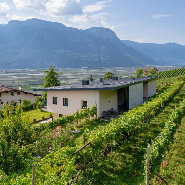 Tholr - Ferienwohnungen - Tramin - Apartment mit Gartenblick - 8