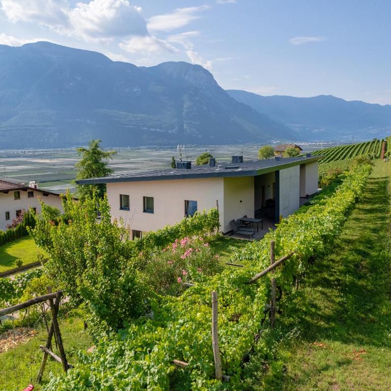 Tholr - Ferienwohnungen - Tramin - Apartment mit Gartenblick - 40