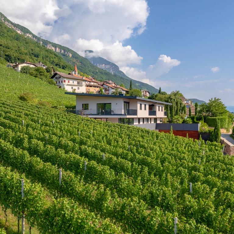 Tholr - Ferienwohnungen - Tramin - Apartment mit Gartenblick - 42