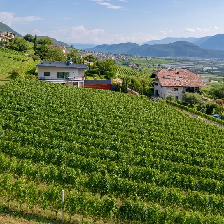 Tholr - Ferienwohnungen - Tramin - Apartment mit Gartenblick - 22
