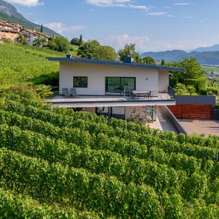 Tholr - Ferienwohnungen - Tramin - Apartment mit Gartenblick - 44