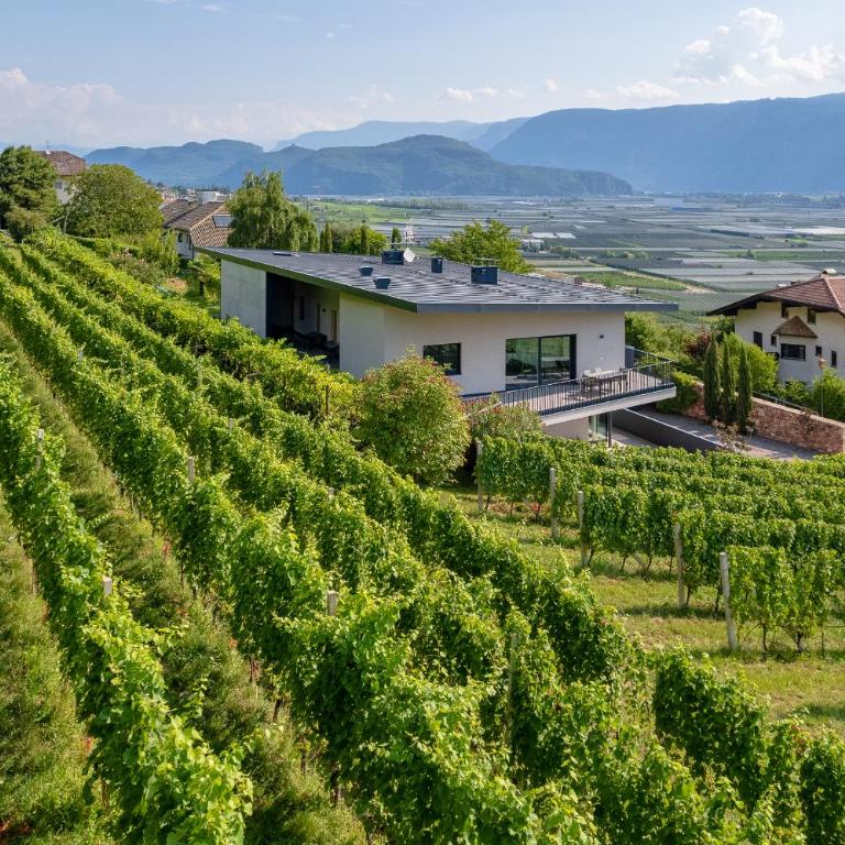 Tholr - Ferienwohnungen - Tramin - Apartment mit Gartenblick - 47