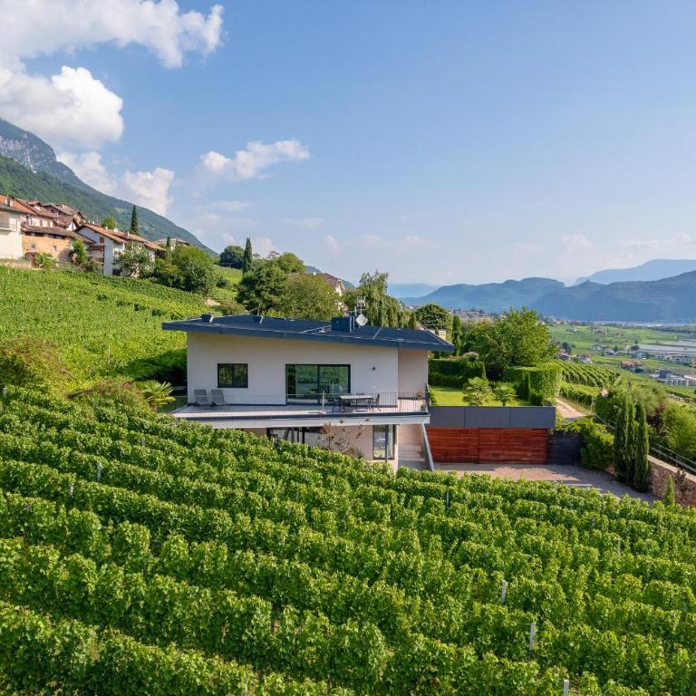 Tholr - Ferienwohnungen - Tramin - Apartment mit Gartenblick - 46