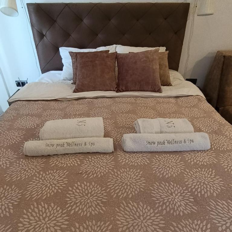 Snow peak Wellness & Spa, Kopaonik Milmari N5 - Deluxe King Studio - 10