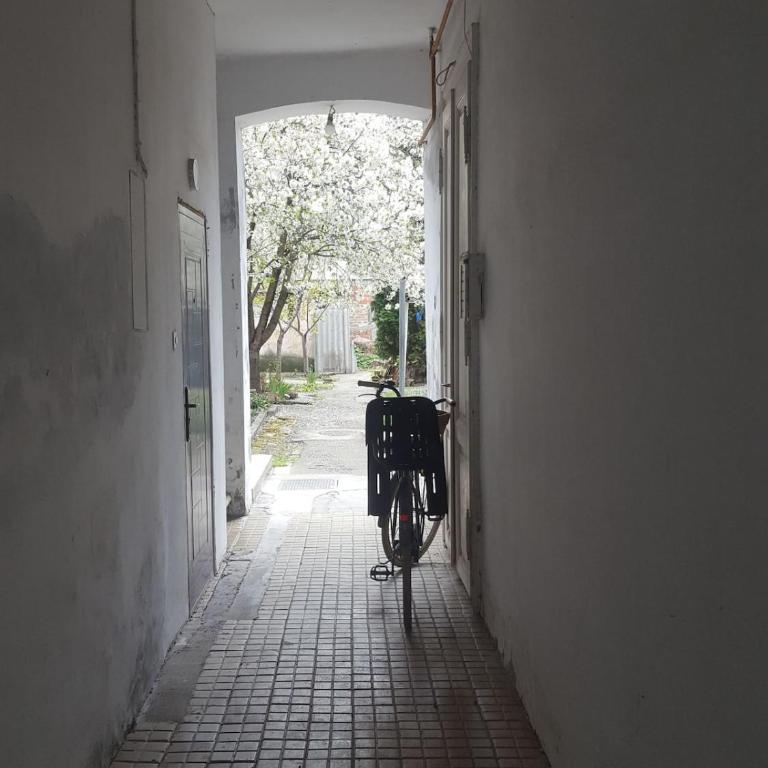 Studio, center - Apartman sa 1 Spavaćom Sobom - 4