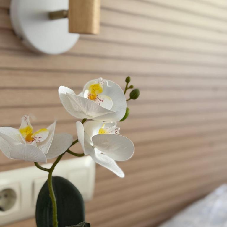 Lovely apartment on the beach - Apartamento de 3 dormitorios - 3