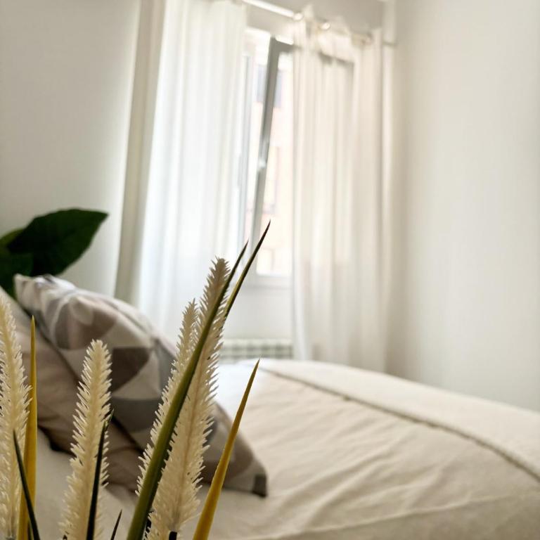 Rastro, Plaza Mayor and Madrid Río - Two-Bedroom Apartment - 32