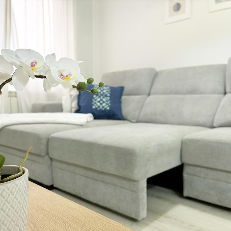 Rastro, Plaza Mayor and Madrid Río - Two-Bedroom Apartment - 35