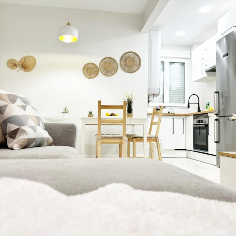 Rastro, Plaza Mayor and Madrid Río - Two-Bedroom Apartment - 46