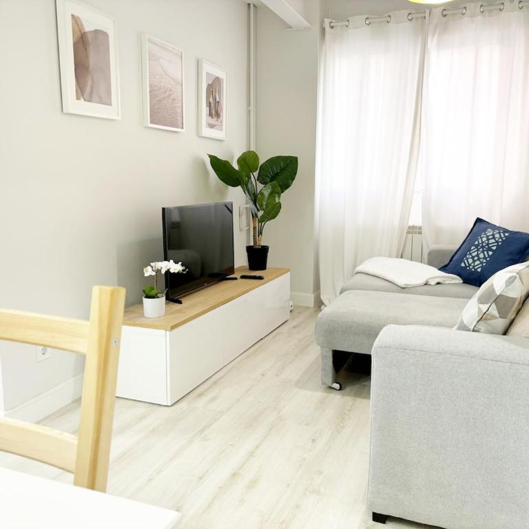 Rastro, Plaza Mayor and Madrid Río - Two-Bedroom Apartment - 55