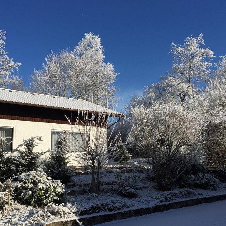 Ferienhaus Wieselweg im Feriendorf Reichenbach 14 - Haus mit 2 Schlafzimmern - 10