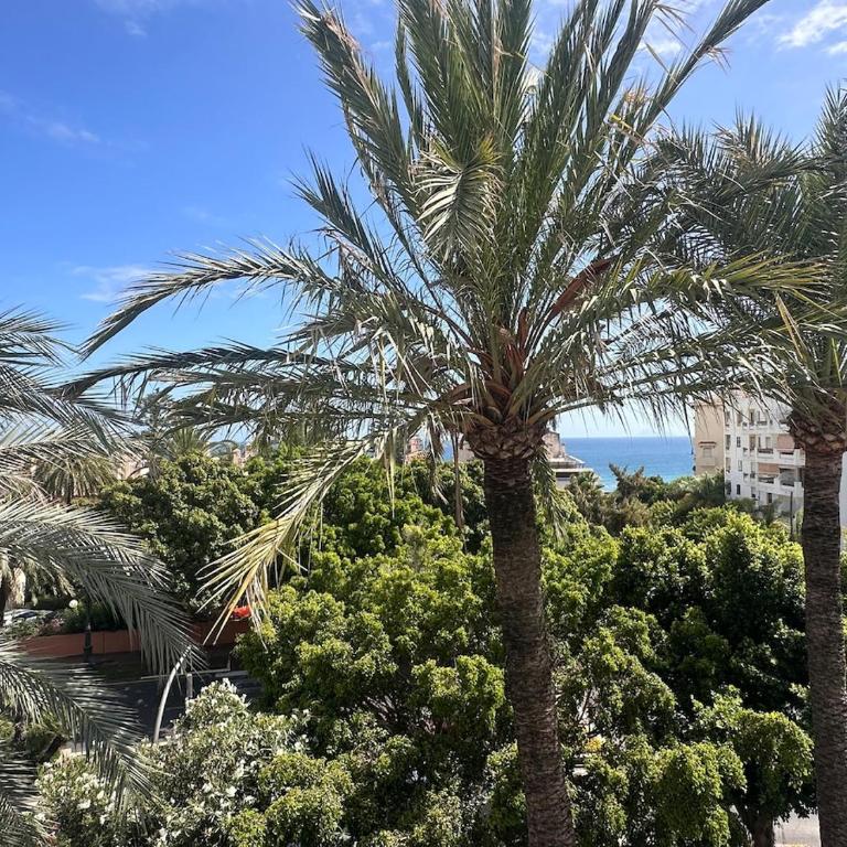 Apartment Lucy - central 2 bed - Apartamento de 2 dormitorios - 30
