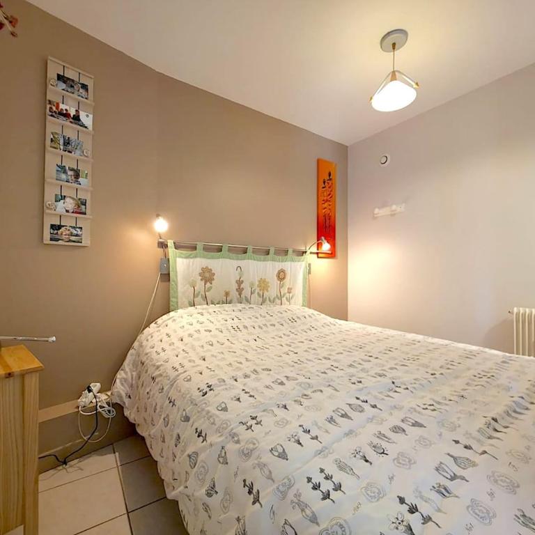 Grand T2 lumineux avec parking - 4 personnes - Appartement 1 Chambre - 15