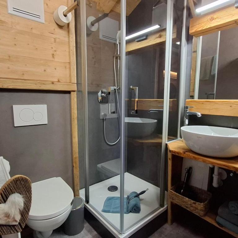 Dorfchalet & FeWo - mit KÖNIGSCARD - Chalet mit 1 Schlafzimmer - 6