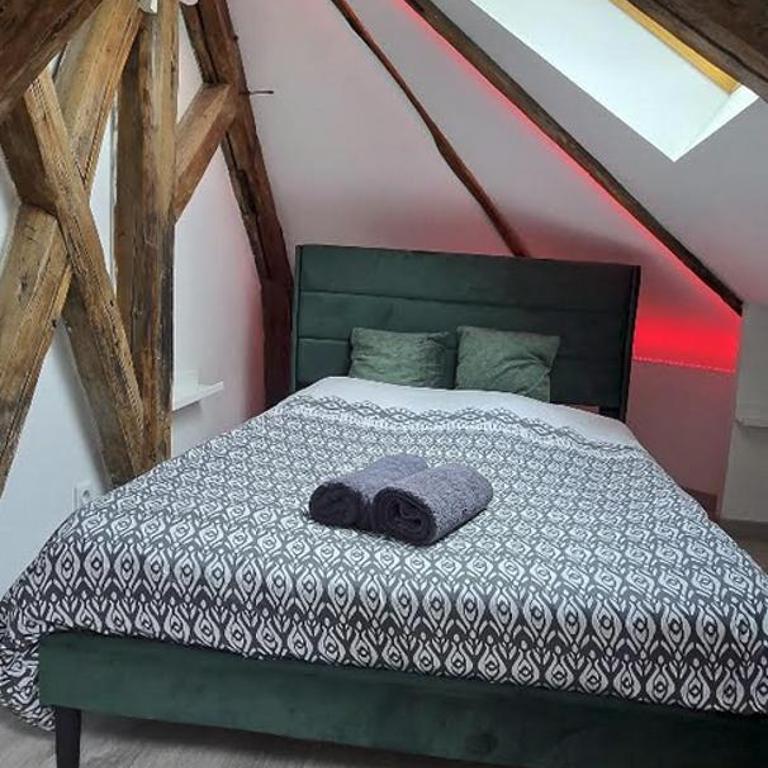 Studio cosy proche centre-ville - Apartment mit 1 Schlafzimmer - 12