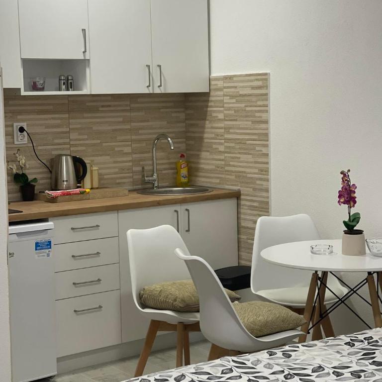Apartmani Rajkovic - Studio - 3