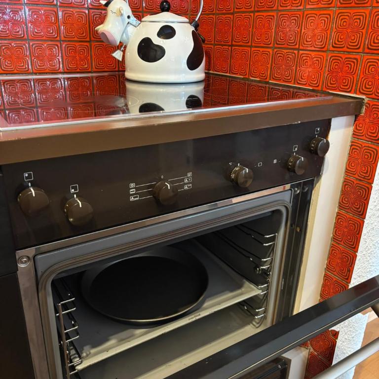 Charmant appartement hyper central, idéal pour couple ou petite famille, parking couvert - Appartement 1 Chambre - 16