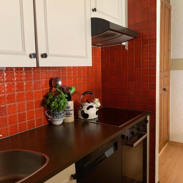 Charmant appartement hyper central, idéal pour couple ou petite famille, parking couvert - Appartement 1 Chambre - 15