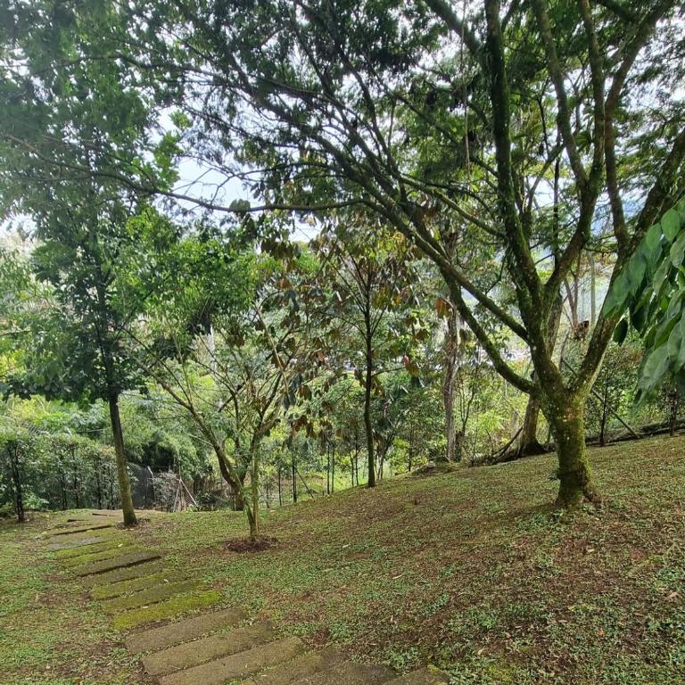 Next to natural reserve, amazing views! - Apartamento de 2 dormitorios - 7