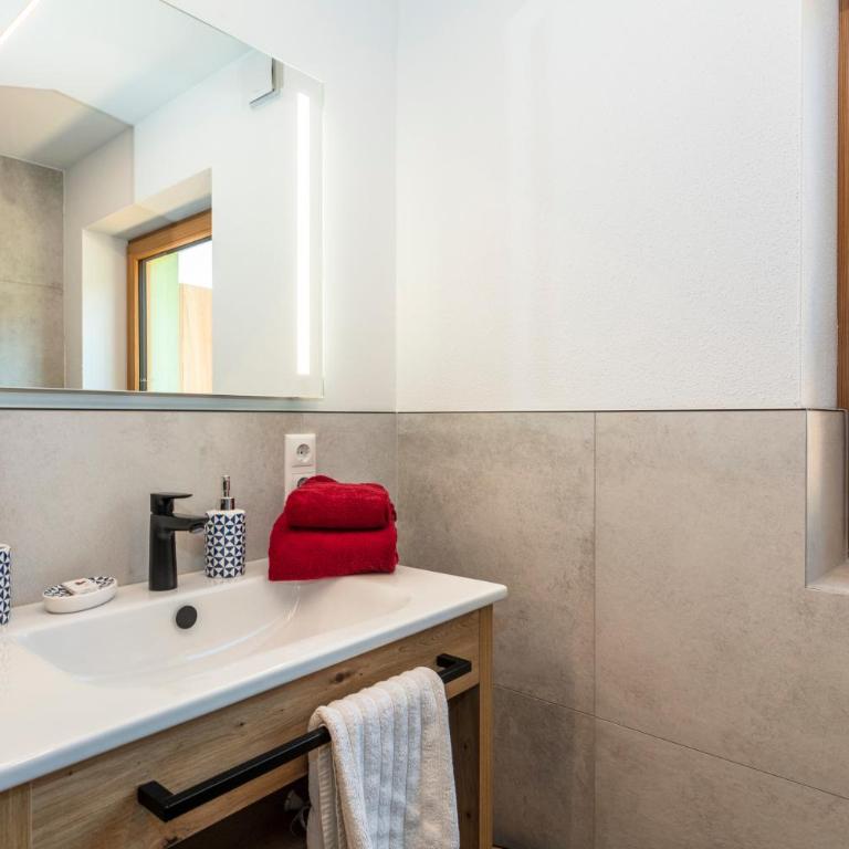 Obermühlhof Apartments - Apartamento de 1 dormitorio - 22