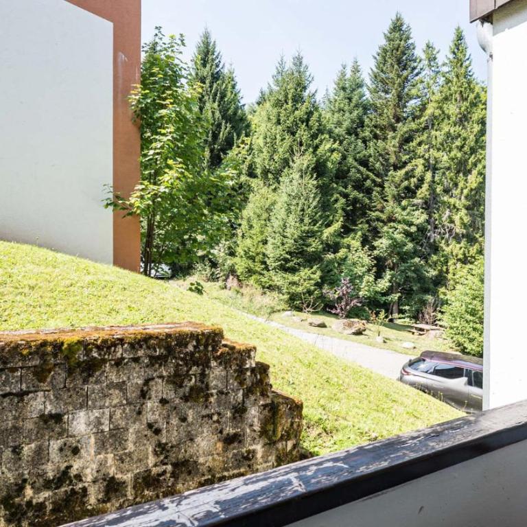 Grande Neige N 10 - 2P4 - Appartement - 11