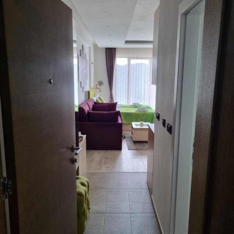 Kopaonik, Milmari resort, Apartman Duga - One-Bedroom Apartment - 3