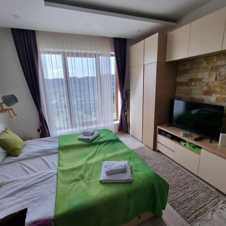 Kopaonik, Milmari resort, Apartman Duga - One-Bedroom Apartment - 2
