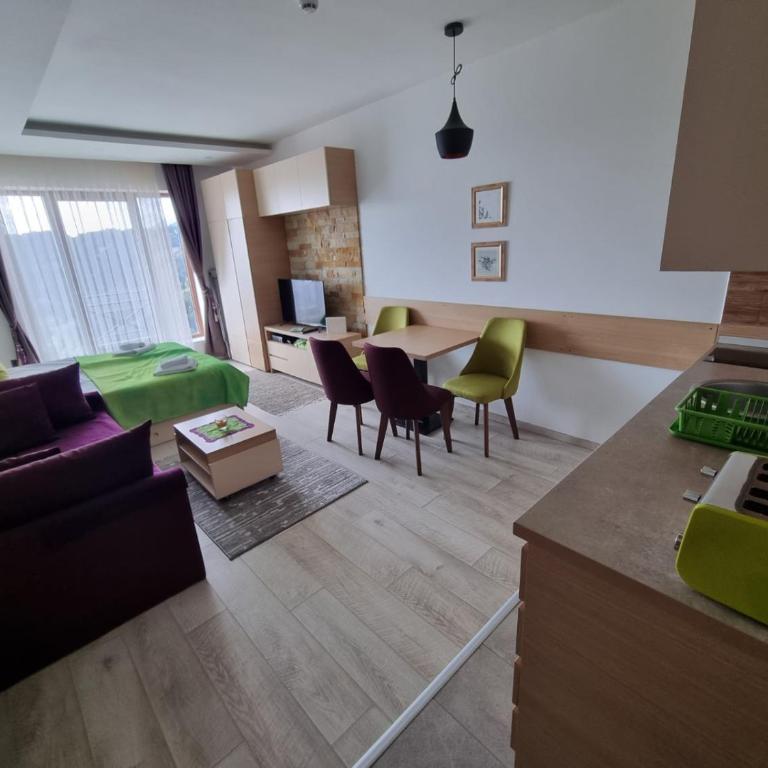 Kopaonik, Milmari resort, Apartman Duga - One-Bedroom Apartment - 10