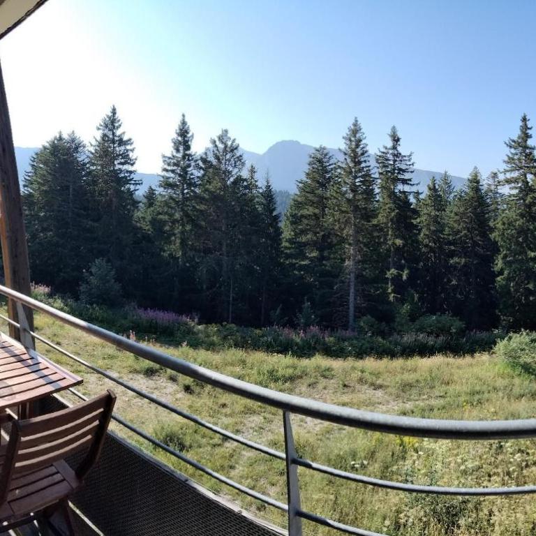 V Du Bachat Meleze B N 12 - 3P6 - Appartement - 15